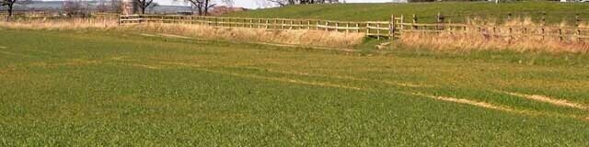 Water tower and reservoir This remarkable water tower, looking like a magic mushroom, or possibly a hooded cobra, together with a covered reservoir stands on a slight rise near Morwick Farm, outside Warksworth.