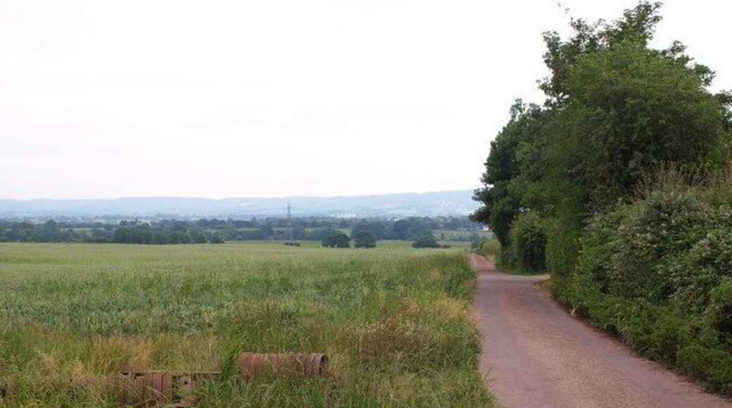 Road near Farthings Close This road past Monument View carries a footpath towards the West Deane Way near the Tone.