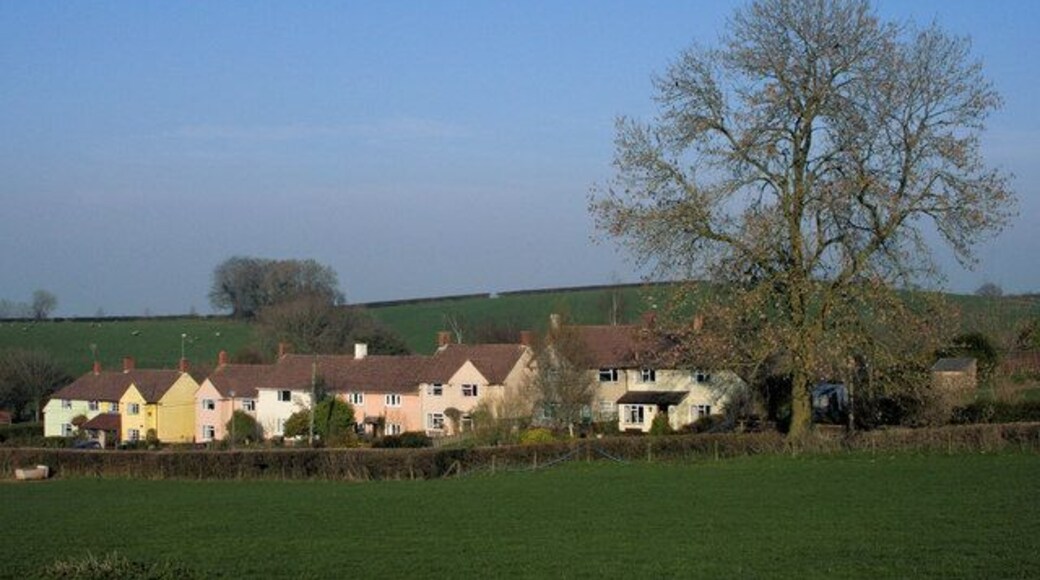 Sampford Arundel "Weekes Meadow."