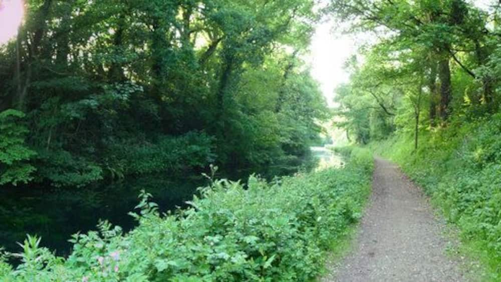 Un étroit sentier de gravier bordé d’une végétation luxuriante et d’arbres.