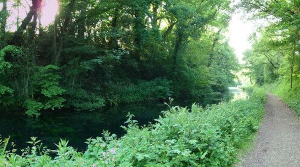 Mid Devon : Grand Western Canal