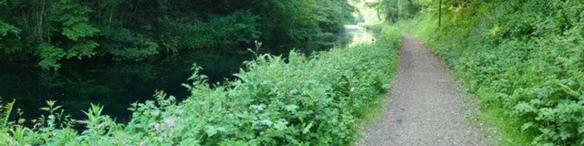 Mid Devon : Grand Western Canal