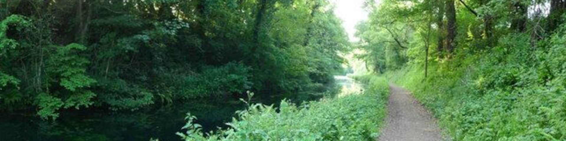 Mid Devon : Grand Western Canal