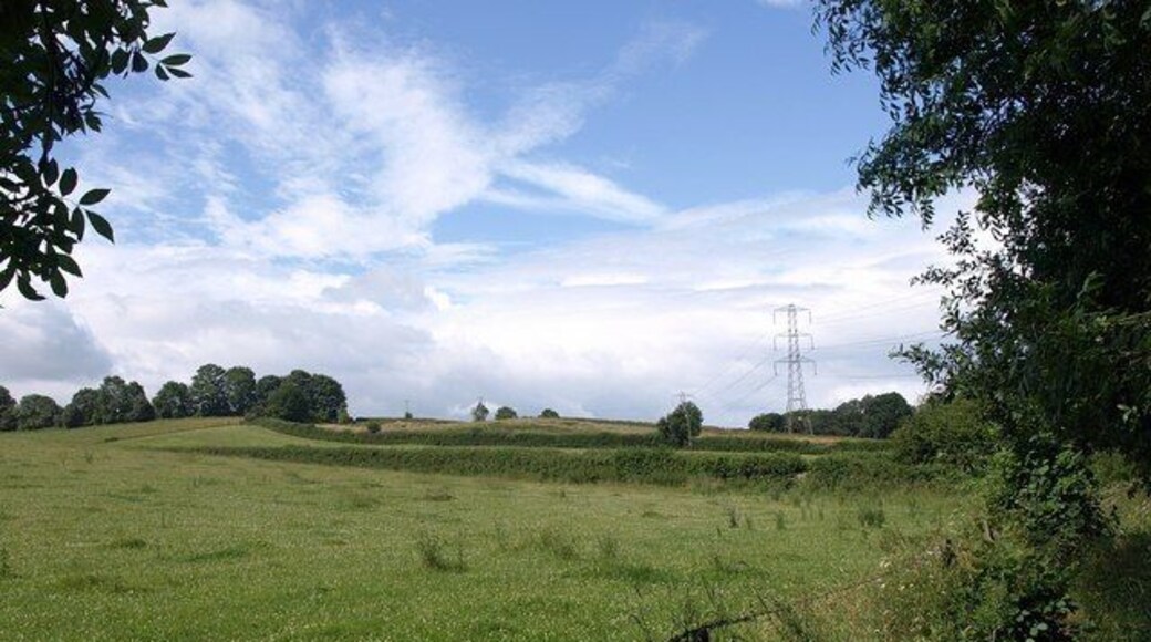 Southern slopes of the Tone valley From footpath WG 17/14, followed by the West Deane Way, as it runs along the line of the Grand Western Canal beside damp woodland bordering the River Tone.