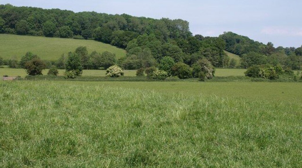 Tone valley. A view from the lane shown in 1350385. The lane rises abruptly on the north side of the River Tone, with Harpford Wood on the crest of the hill.