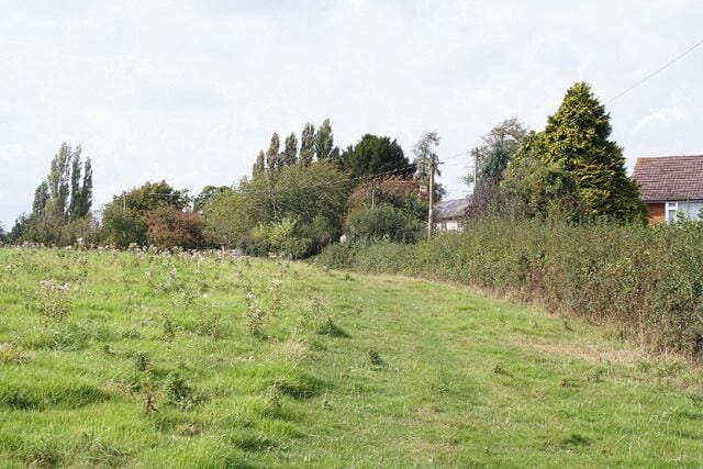 A grassy field with scattered wildflowers, a dense hedge, and a red-roofed house in the background.