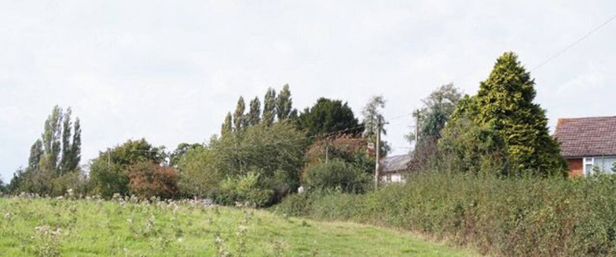 A grassy field with scattered wildflowers, a dense hedge, and a red-roofed house in the background.