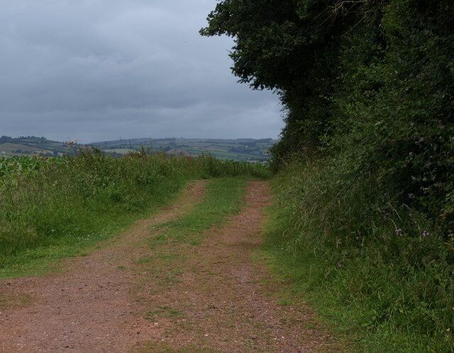 Footpath near Langford Budville A footpath leaves the road from Harpford Bridge and curves along the edge of a thin belt of trees, following a track to a disused quarry. It links to the West Deane Way and gives views to the left across the Tone valley.