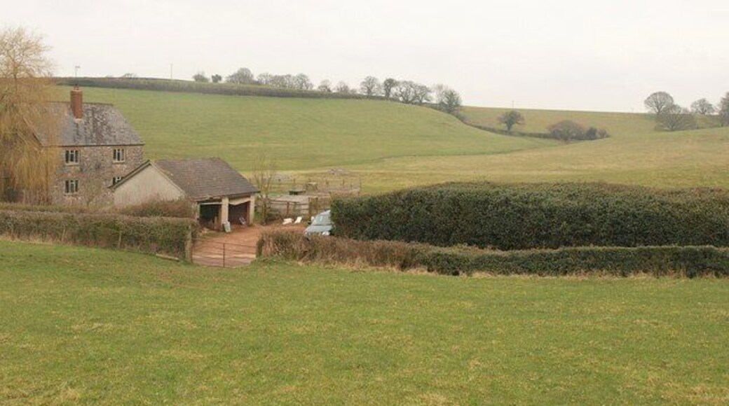 Peacehay Cottages. From footpath WG 10/9, a difficult path arriving from Devon. Peacehay Cottages are on the lane shown in 1778426, about 140 metres south of the farm across the valley that can be seen in the background.