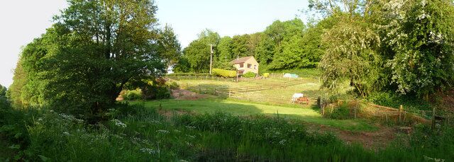 A rural landscape with a house surrounded by trees and a field.
