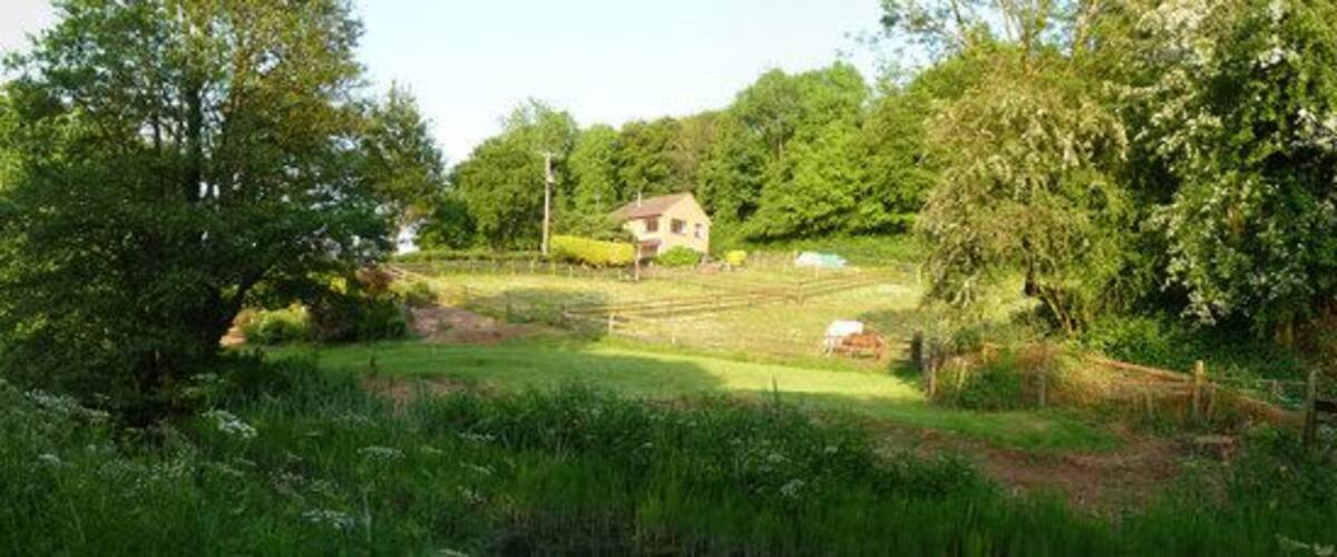 A rural landscape with a house surrounded by trees and a field.