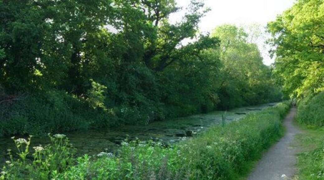 Mid Devon : Grand Western Canal