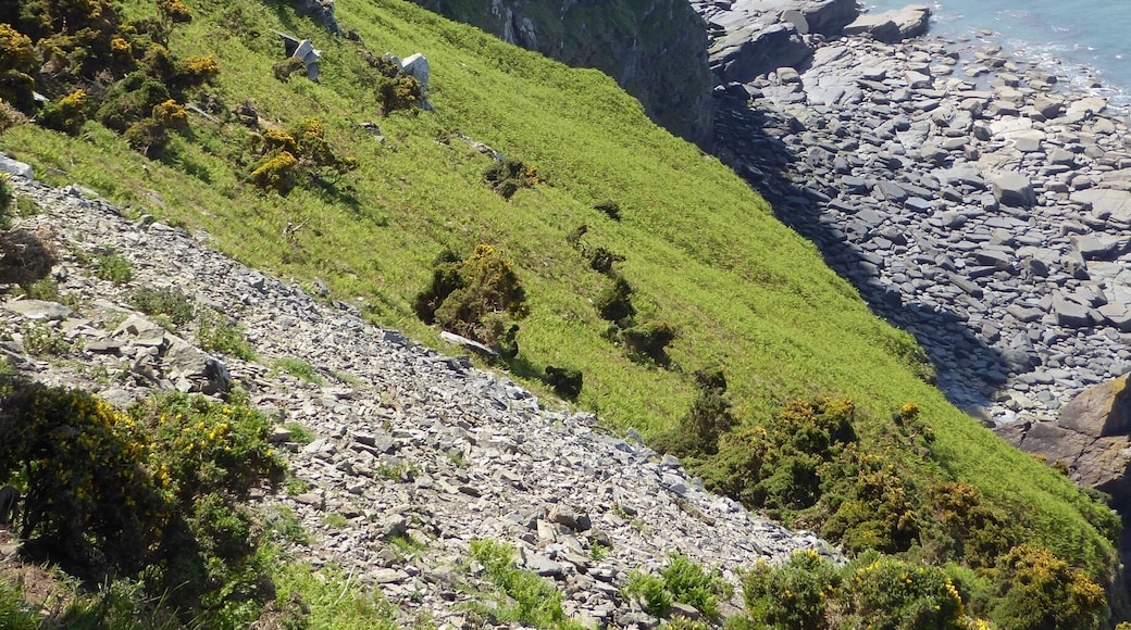 The edge of The Valley of the Rocks where it meets the sea. This photograph was taken from The Southwest Coastal Footpath which runs for over 600 miles around the southwest.
