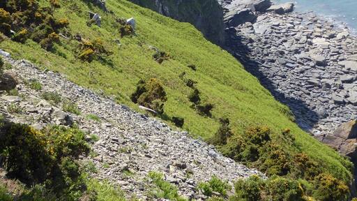 The edge of The Valley of the Rocks where it meets the sea. This photograph was taken from The Southwest Coastal Footpath which runs for over 600 miles around the southwest.