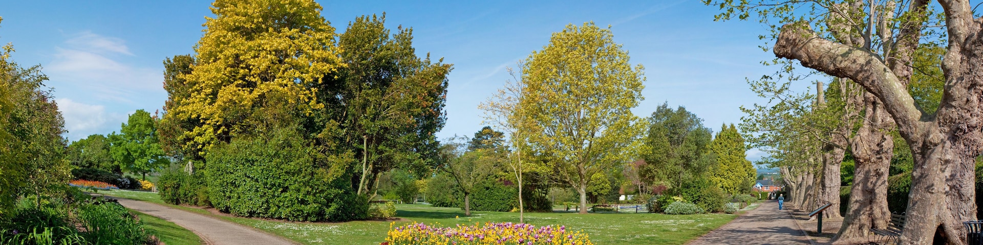 Un parque con un sendero curvo, jardines floridos y árboles altos.