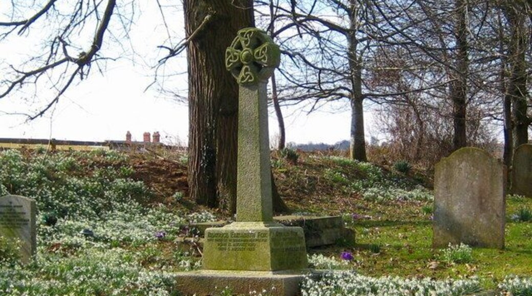 Churchyard snowdrops - Sampford Arundel. A wave of snowdrops greets the visitor to the churchyard in early spring.