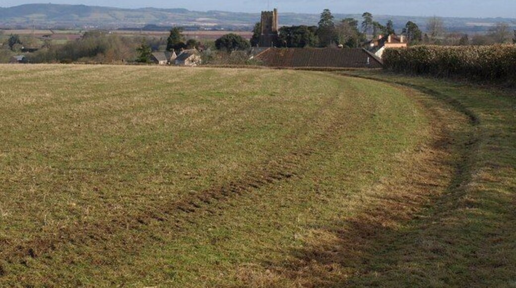 Path to Langford Budville Following footpath WG 6/5 as it curves around a field boundary towards the village. The nearest roof is in square, but the church and most of the village is in ST1122. In the distance are the Quantocks.