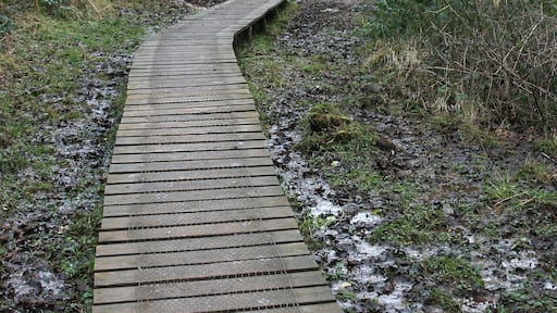 Footpaths in Langford Heathfield