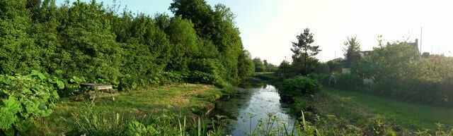 Mid Devon : Grand Western Canal At the end of the Grand Western Canal near Holcombe Rogus.