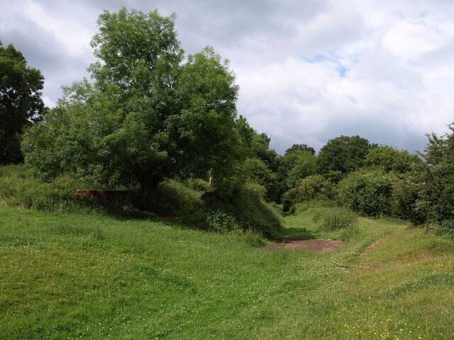 Grand Western Canal. A little further west from the scene in 56157. This section is unusually clear; there is little evidence of the canal on the ground further east. The River Tone is below, across a meadow to the right.