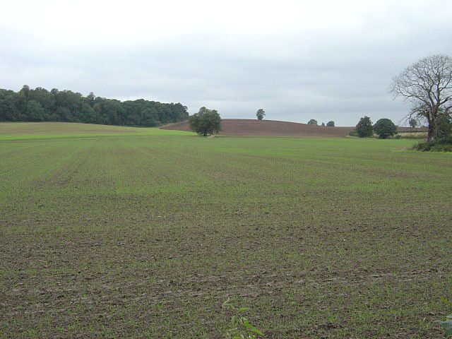 Fields alongside Melton Road Looking towards Sharp Hill