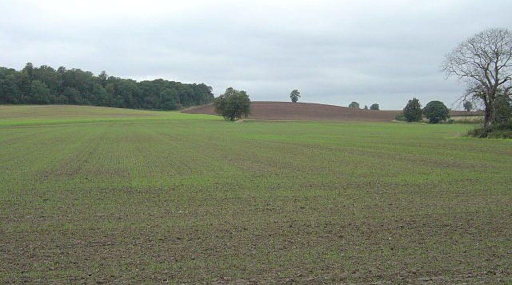 Fields alongside Melton Road Looking towards Sharp Hill