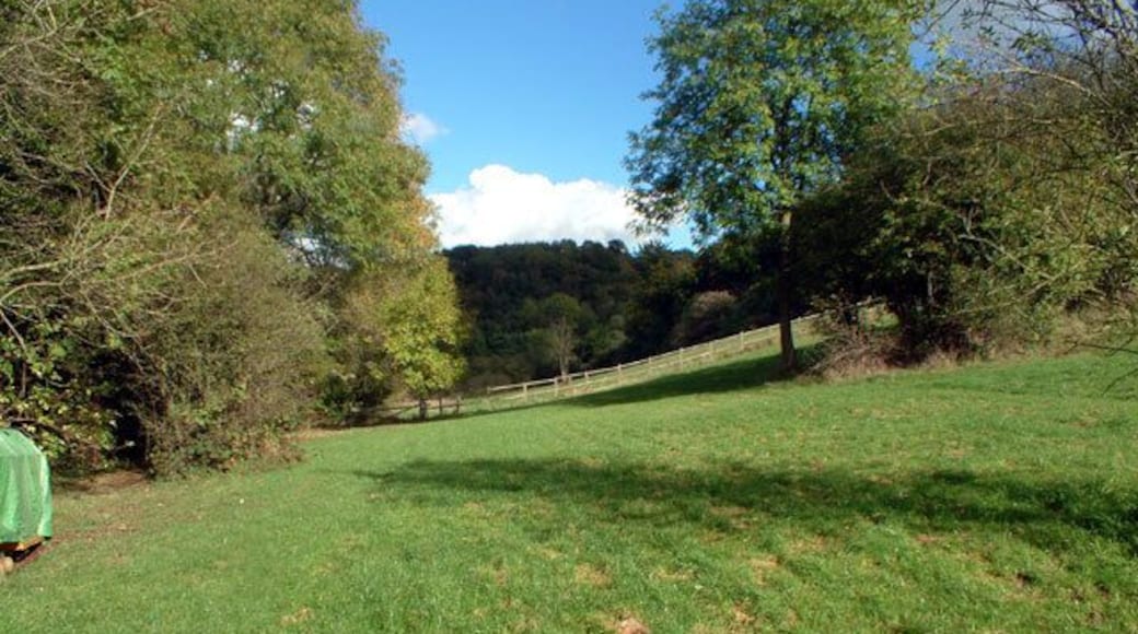 Countryside near Tatsfield TN16. This scene was taken looking north from just east of Avenue Road, which despite its grand name is just a track which leads northwards from Rag Hill Road, itself a narrow country lane.