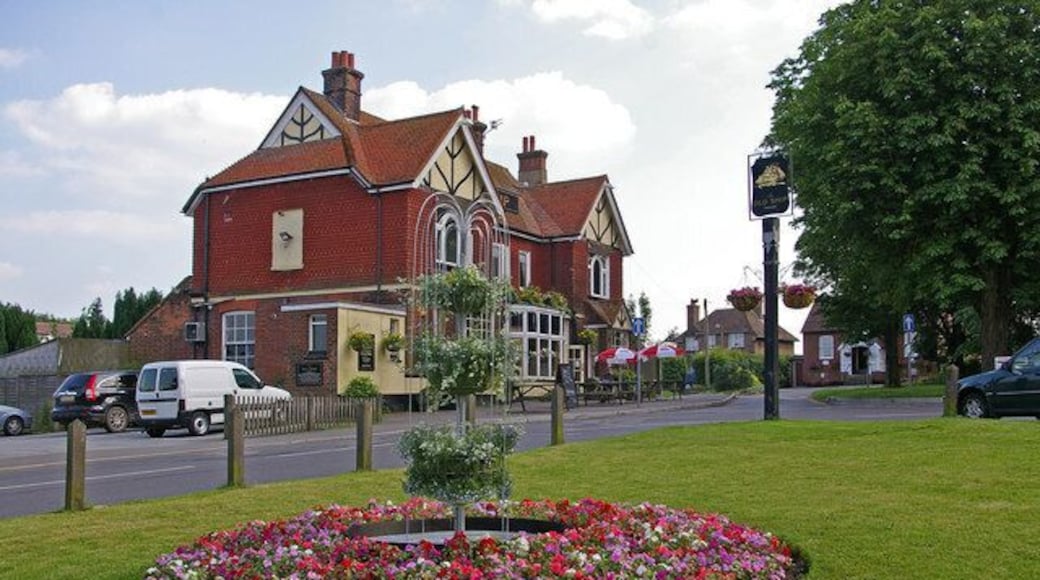 The Old Ship The Old Ship is the only pub in Tatsfield. The village is a regular winner of the large village section of the South East in Bloom contest, having won 5 times since 2000, and having been runner up in the "Champion of champions" category in 2007. The display in the foreground is part of the 2008 entry.