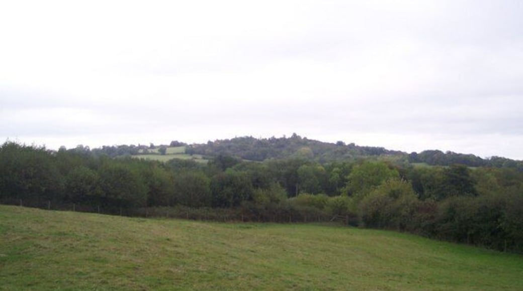 View of Ide Hill from Toy's Hill Seen from the footpath from Toy's Hill to Scords Lane. Quinten Wood is seen in the foreground.