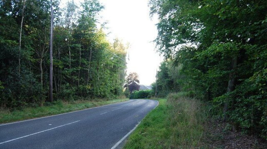 Chart Lane, Toy's Hill