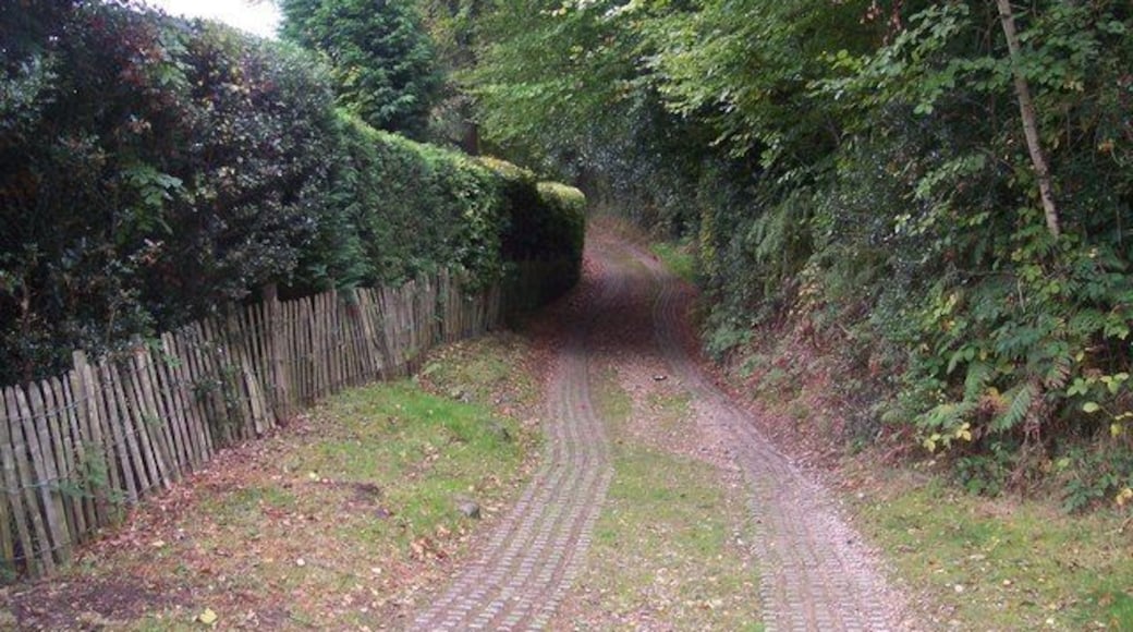 Scords Lane This track leads from Scords Wood to Toy's Hill. It is classified as a bridleway.