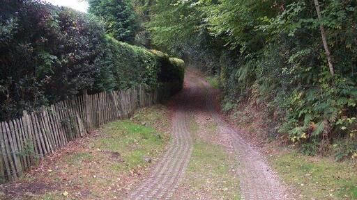 Scords Lane This track leads from Scords Wood to Toy's Hill. It is classified as a bridleway.