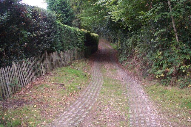 A narrow, winding country road flanked by dense hedges and trees.