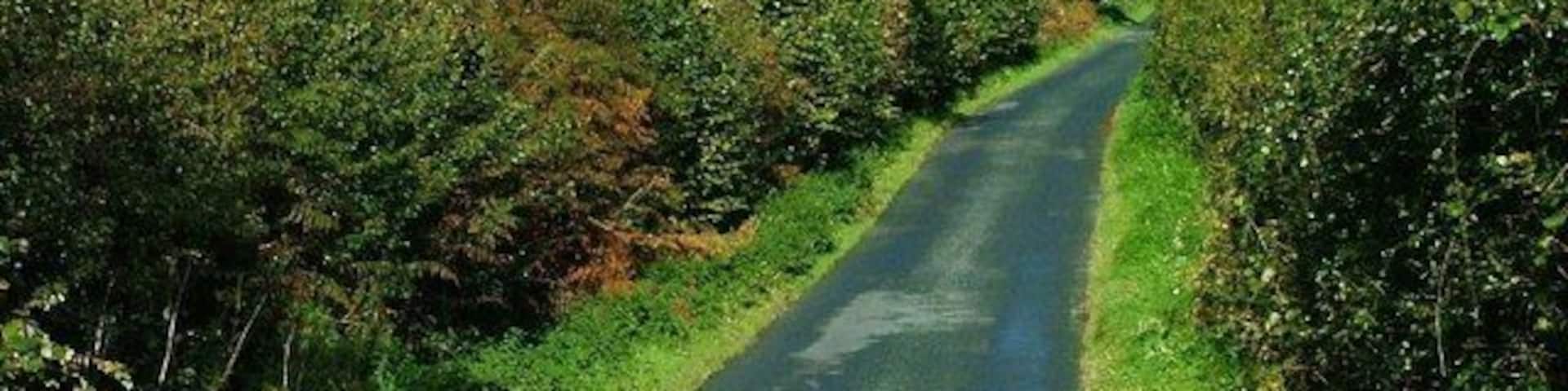 Stainsacre Lane With the houses of Stainsacre in the distance.