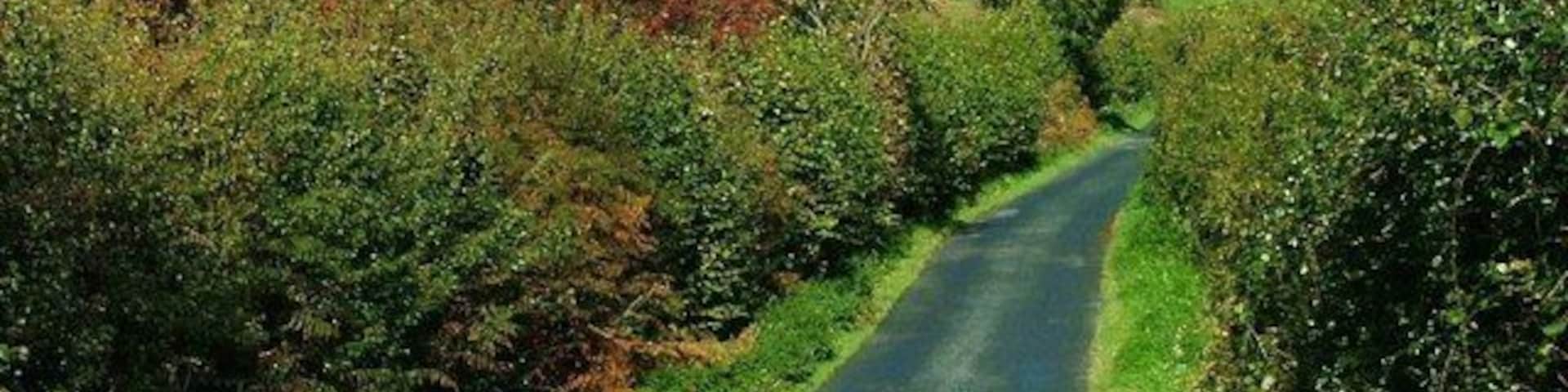 Stainsacre Lane With the houses of Stainsacre in the distance.