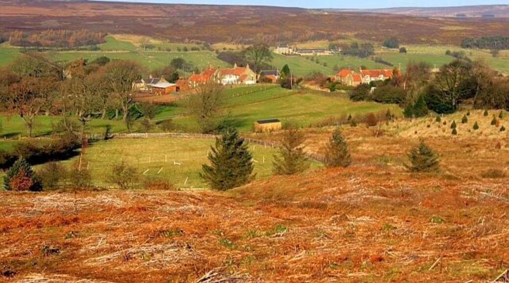 Westerdale Built on a spur overlooking the Esk valley.