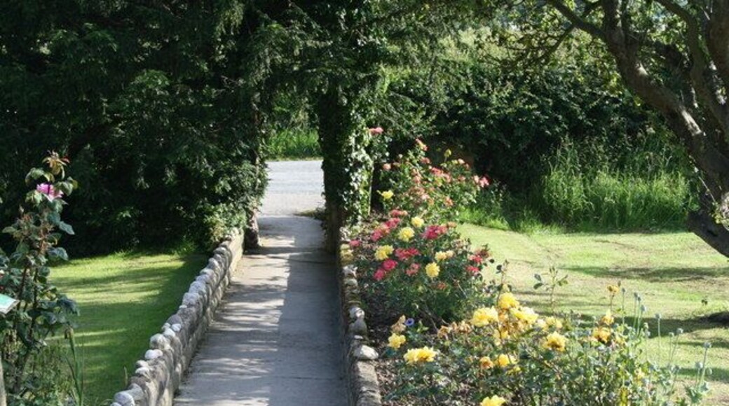 View from reception, Middlewood Farm, Fylingthorpe View from reception, Middlewood Farm, Fylingthorpe