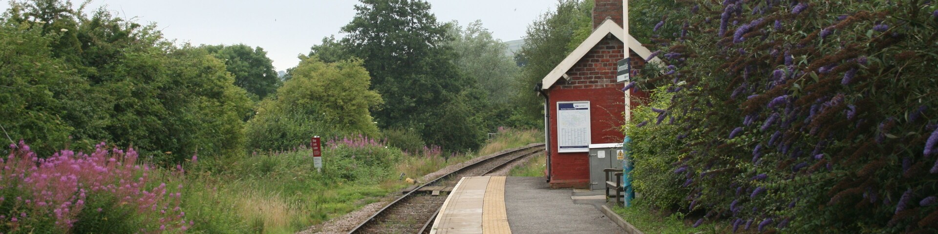 Commondale railway station