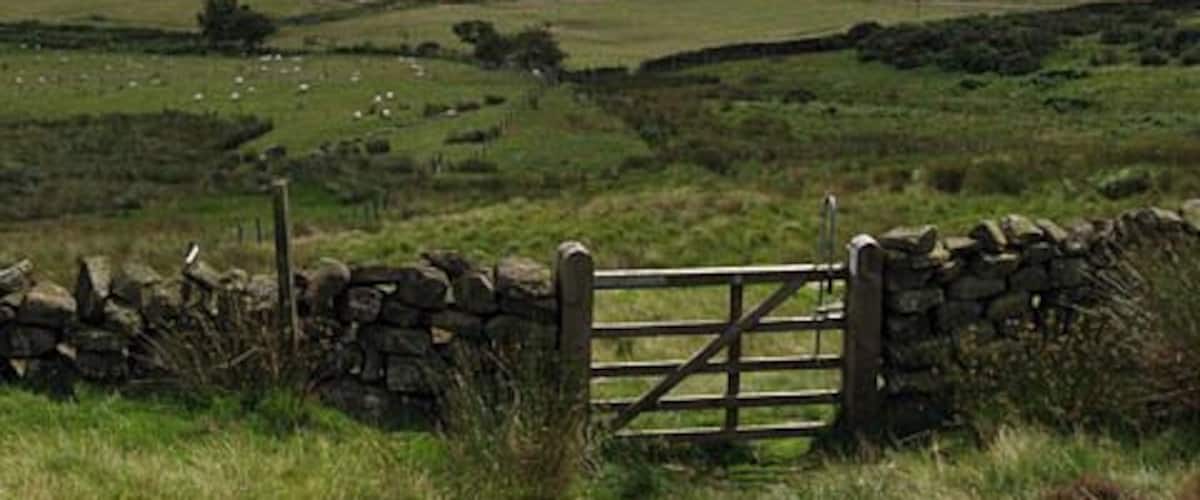 Bridleway to Baysdale Looking south to wards Grain Planting East
