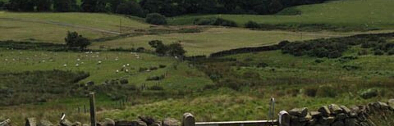 Bridleway to Baysdale Looking south to wards Grain Planting East