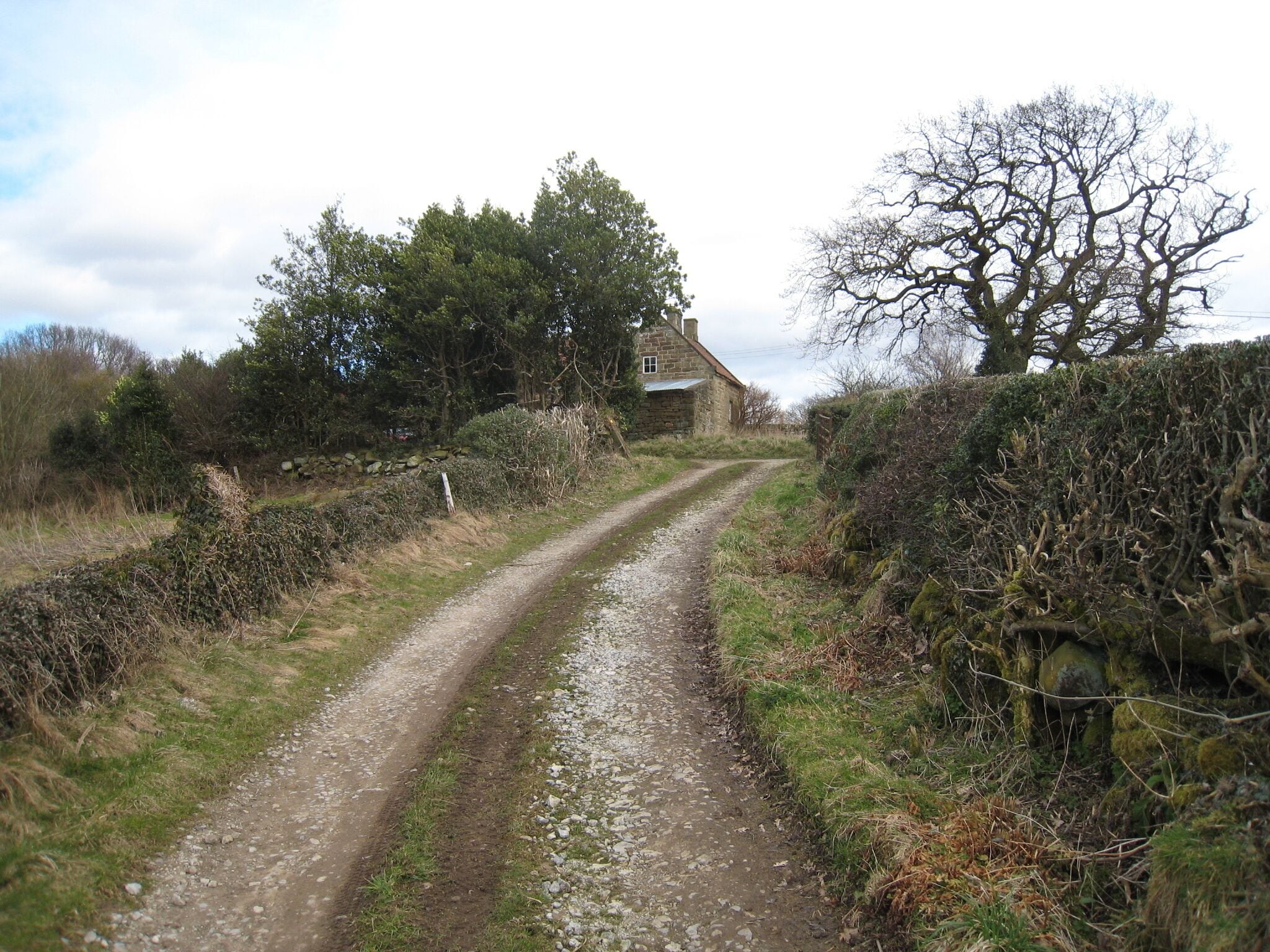 Track to Low Hollins Farm This photograph shows a view of the access track and public footpath to Low Hollins Cottage from the minor road that runs between Egton Bridge and Randy Rigg. The picture was taken looking in a east-south-easterly direction towards Spring Wood.