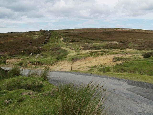 Warren Moor Taken from bend on the Baysdale to Kildale road. The wall follows the course of the Park Pale earthwork.