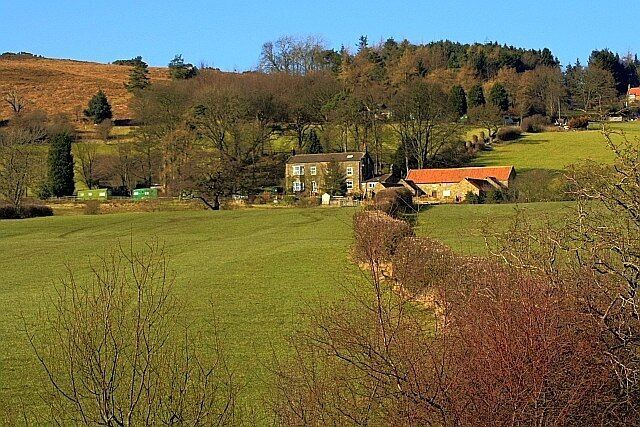 Didderhowe, Danby Dale