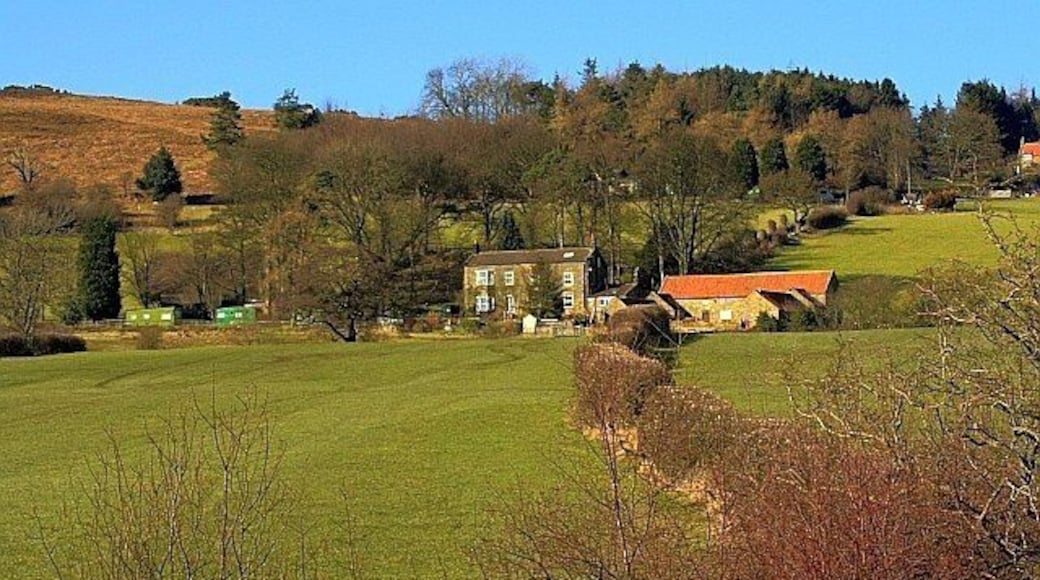 Didderhowe, Danby Dale