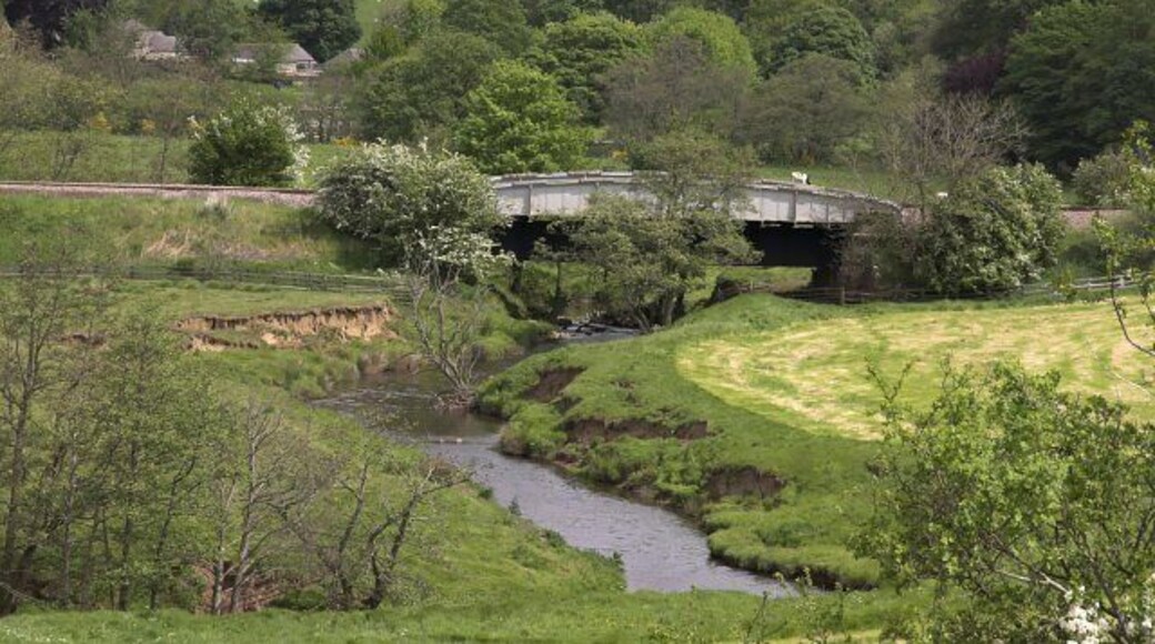 Railway bridge over the Esk The Middlesbrough to Whitby line crosses and recrosses the Esk many times between Danby and Whitby.