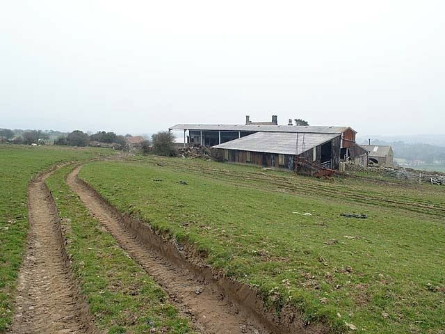 Swallow Head Farm