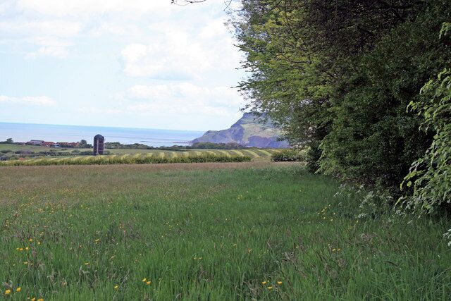 A grassy field with yellow flowers, a stone structure, and a cliff by the sea.