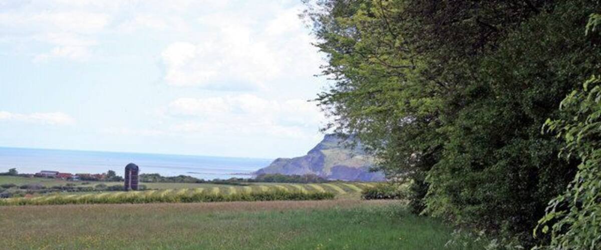 A grassy field with yellow flowers, a stone structure, and a cliff by the sea.