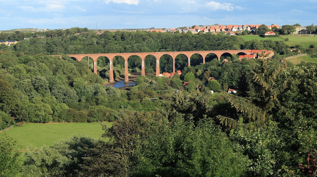 A view of the disused Larpool railway viaduct in Whitby, North Yorkshire, in Summer, showing all 13 arches.
