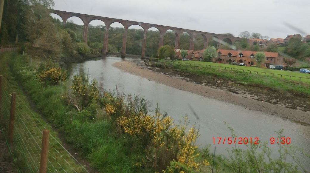 Whitby Viaduct